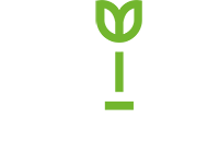 Spring Healthcare Staffing Logo